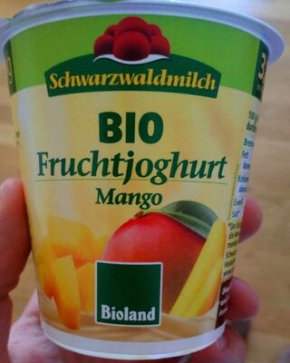 Fruchtjoghurt mango