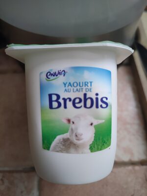 Yaourt au lait de brebis vanille