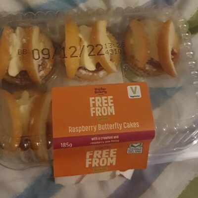 Free from Rasberry Butterfly Cakes