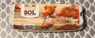 Oeufs frais datés du jour de ponte sol