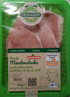 Minutensteaks