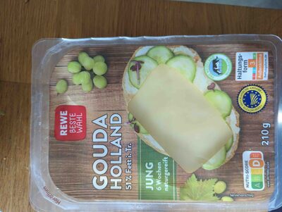 Gouda Holland