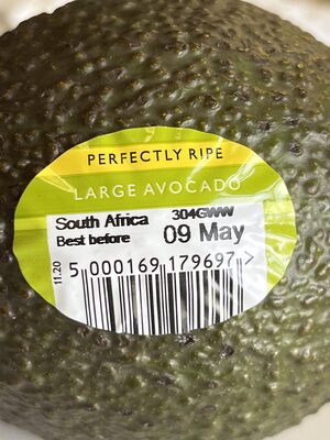Perfectly Ripe Avocado