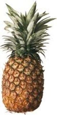Ananas, Variété Extra Sweet