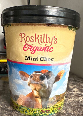 Mint choc ice cream