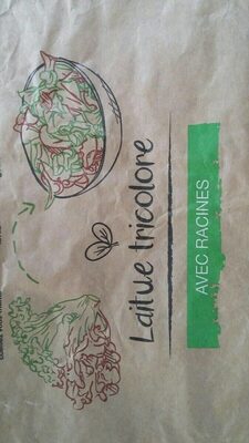 Laitue tricolore avec racines