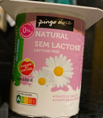 Sem Lactose Natural Meio Gordo