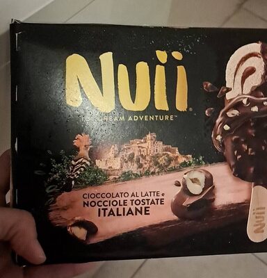 Glace Ice Cream Adventure Milk chocolate & italian roasted hazelnut x 4