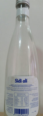 Sidi Ali