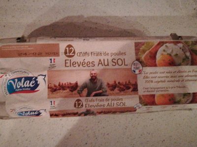 Œufs frais de poules élevées au sol