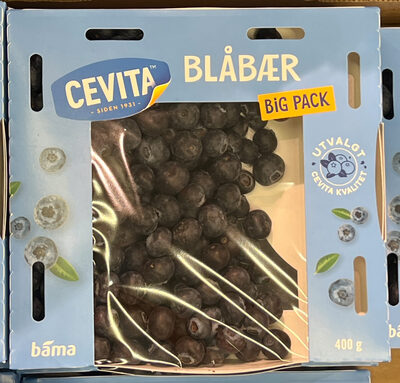 Blåbær