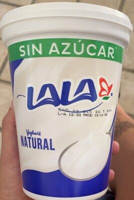 yogurt natural