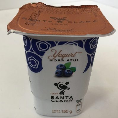 Yogurt Mora azul