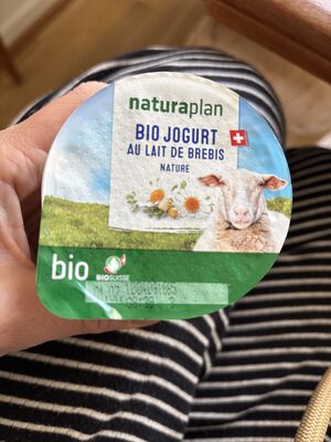 Yogourt au lait de brebis
