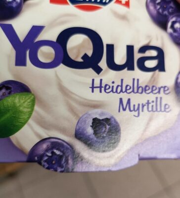 YoQua mirtille