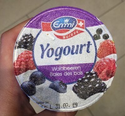 Jogurt Fruit des bois