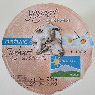 Yogourt au lait de brebis nature