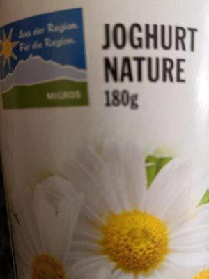 Joghurt Nature