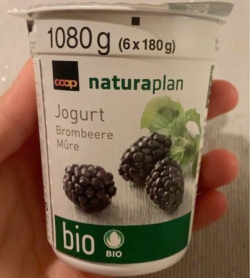 Yogourt au lait entier