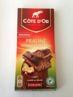 Côte d'Or Praliné Double Noisettes Lait