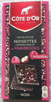 Chocolat noir aux éclats de noisettes caramélisées et de framboises