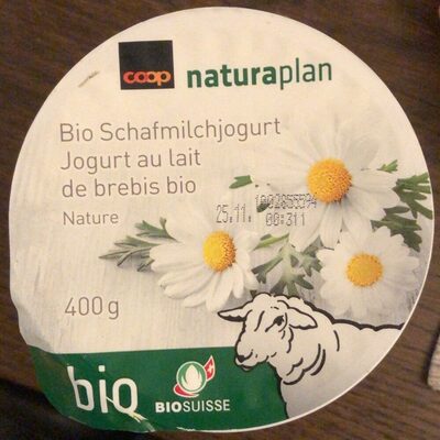 Jogurt au lait de brebis