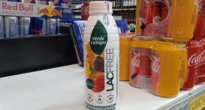 Iorgute Frutas LacFree Verde Campo