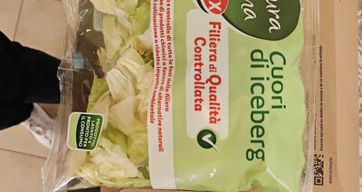 Cuori di Iceberg