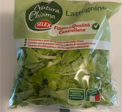 lattughino