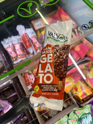 Plant Based Gelato