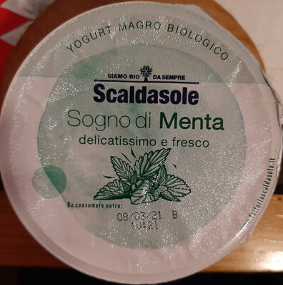 Yogurt magro alla menta