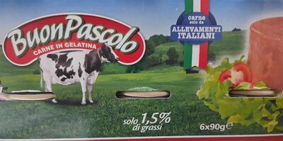 Carne in gelatina