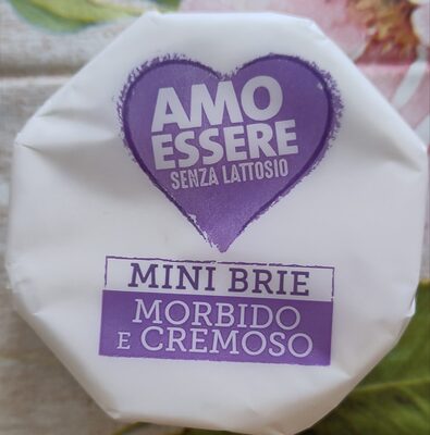 Mini brie senza lattosio