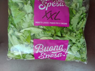 Insalata novella