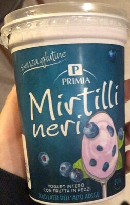 Yogurt intero mirtilli neri