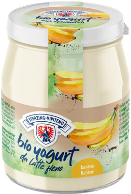 Yogurt biologico intero da latte fieno STG - 150g - Banana