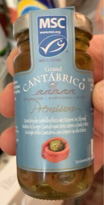 Filetti di acciughe