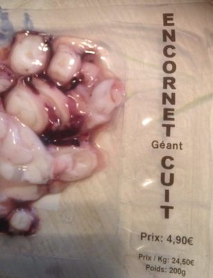 Encornet geant cuit coupe