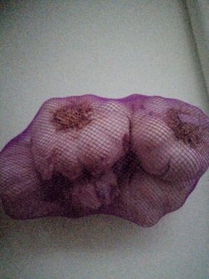Ajo Variedad Spring Violeta