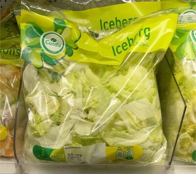 Iceberg