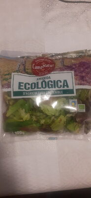 Amanida Ecologica