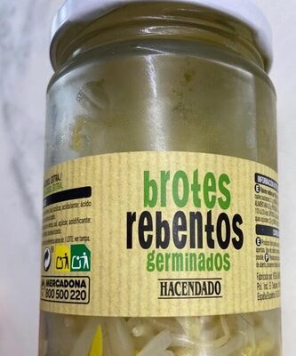Brotes tiernos germinados