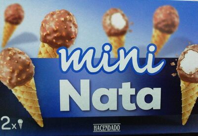 Mini Nata