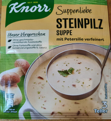 Steinpilzsuppe