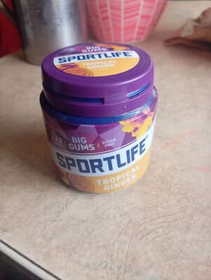 Sugar Free Chewing Gum Tropical Ginger Flavour