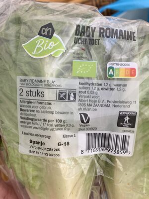 Baby romaine
