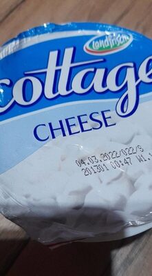 Cottage Cheese