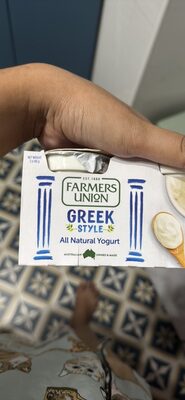 Greek Style All Natural Yogurt