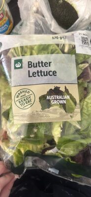Butter Lettuce