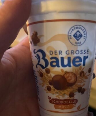 Joghurt Schokobälle Müsli